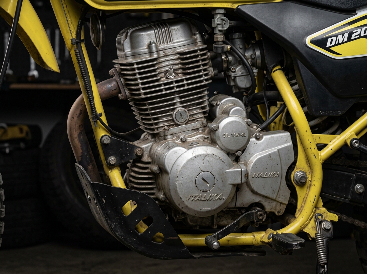 Motor Italika DM 200